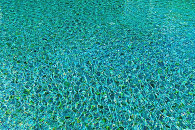 牧场生活模拟游戏《牧场主》开启众筹 明年Q3开启抢先体验